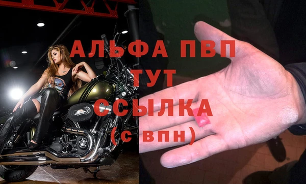 сатива Алексеевка