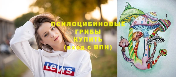 сатива Алексеевка