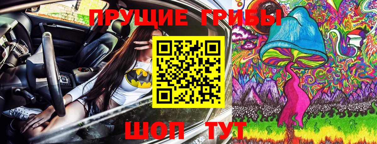 Галлюциногенные грибы Psilocybine cubensis  Вход с VPN  Михайловск 