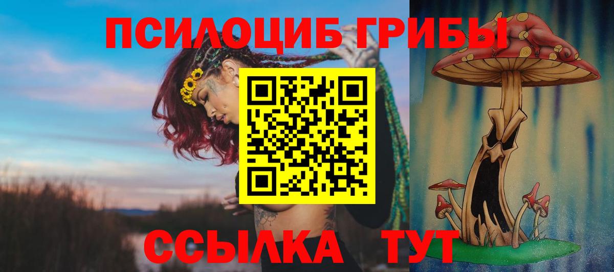 Галлюциногенные грибы MAGIC MUSHROOMS Михайловск