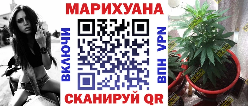 МАРИХУАНА SATIVA & INDICA Михайловск